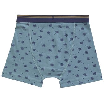 Ten Cate Boys Goodz Shorts 2-Pack Palm Blauw 60072-5096 | 28917