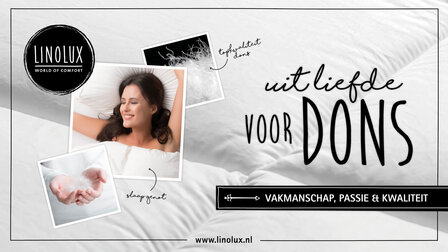 Dreamstar Xperience 90% Eendendons 4-Seizoenen Dekbed | 16389