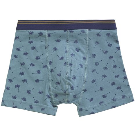 Ten Cate Boys Goodz Shorts 2-Pack Palm Blauw 60072-5096 | 28917