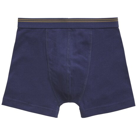 Ten Cate Boys Goodz Shorts 2-Pack Palm Blauw 60072-5096 | 28917