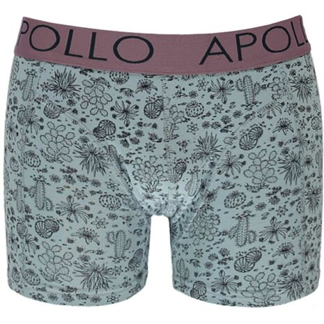 Apollo Herenshorts 3-Pack Blauw 161500105-062 | 22907